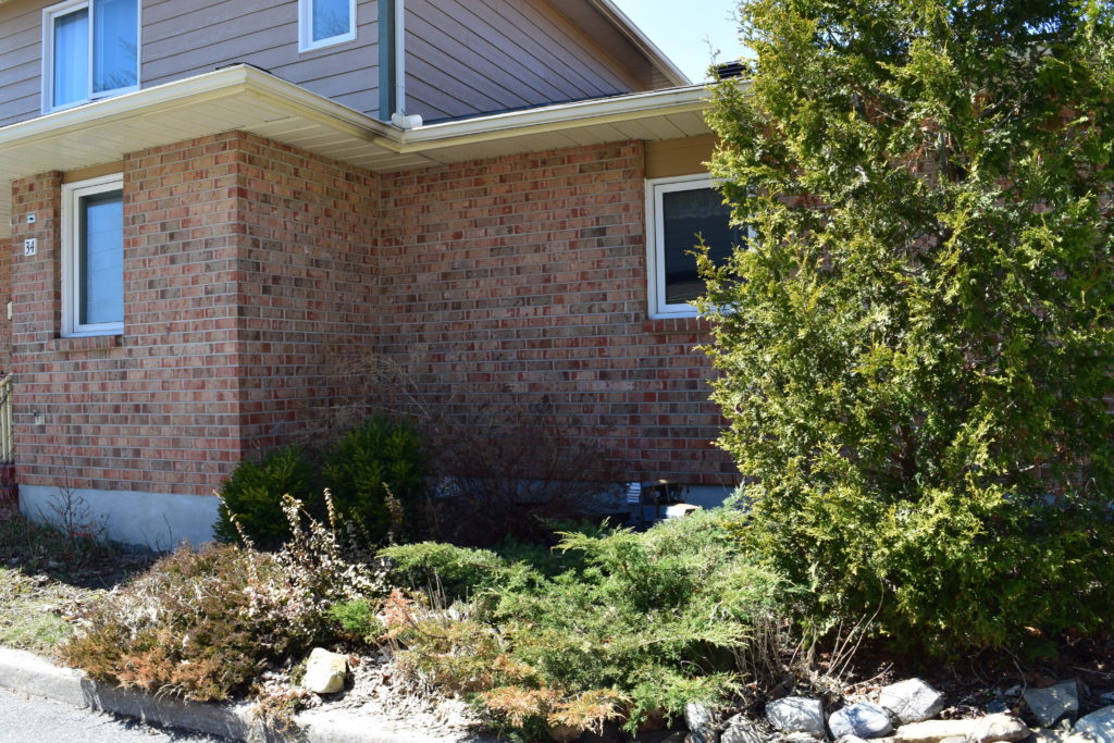 Dovercourt Housing Co-op gallery photo